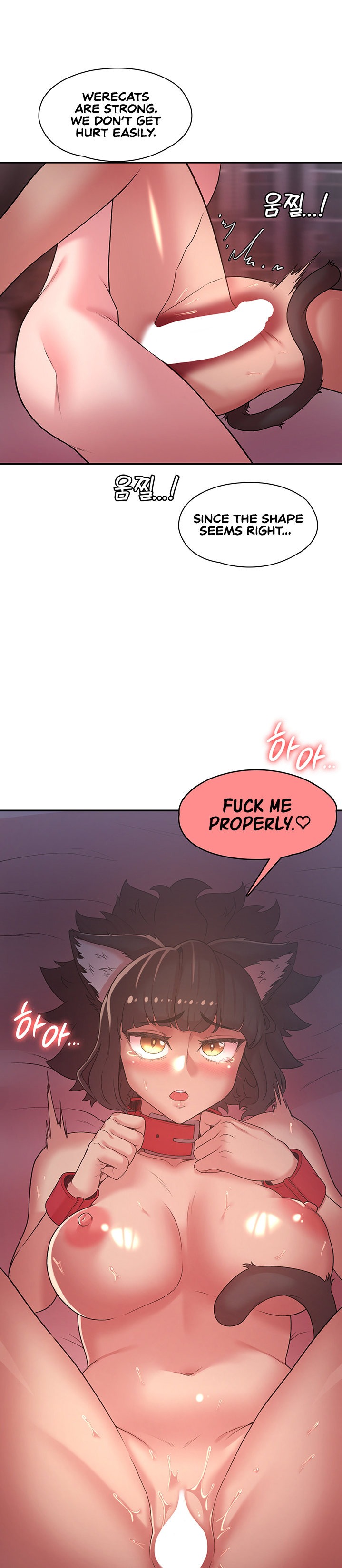 The Main Character is the Villain - Chapter 37 [photo 6] - MangaPorn