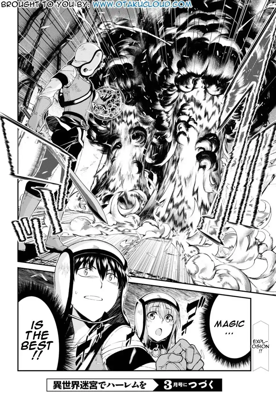 Isekai Meikyuu de Harem wo - Chapter 21 [photo 31] - MangaPorn