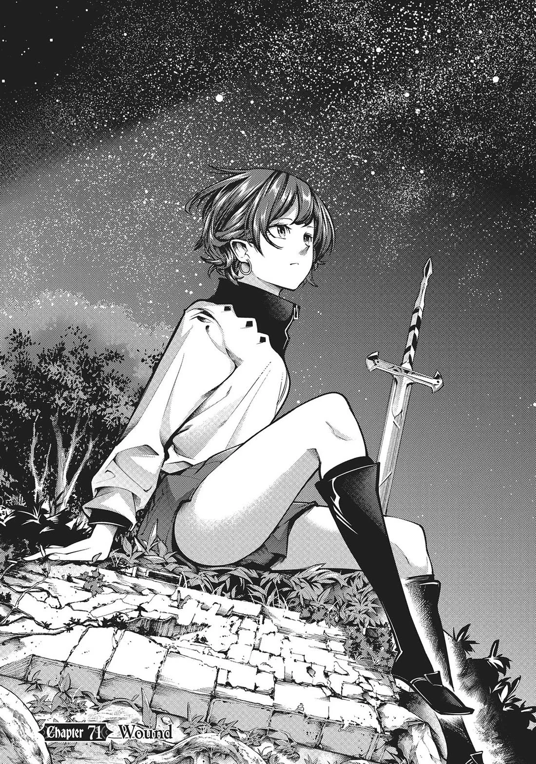 Shuumatsu no Harem: Fantasia - Chapter 71 [photo 2] - MangaPorn