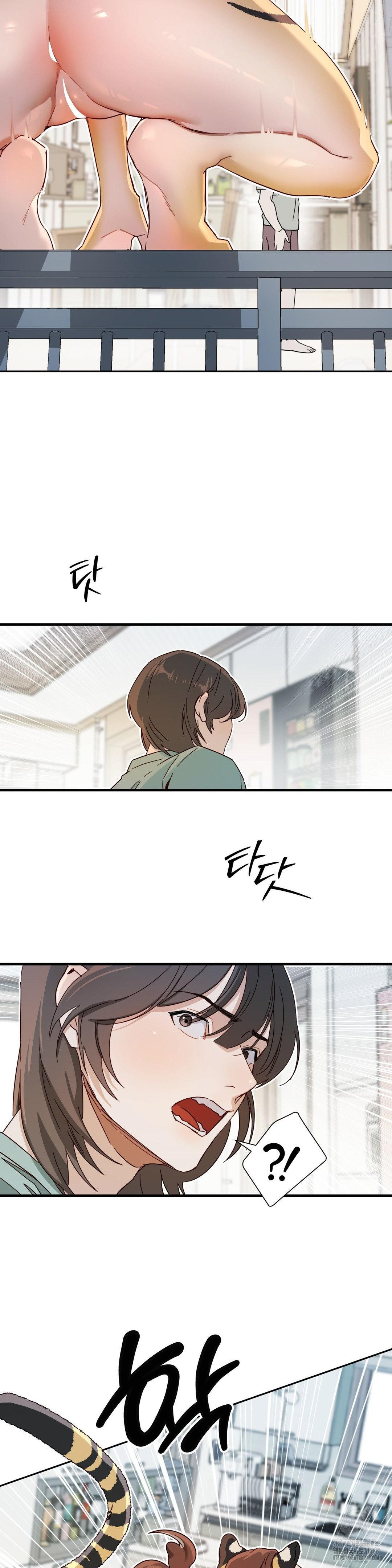 Zoo’s Panic Raw - Chapter 2 [photo 15] - MangaPorn