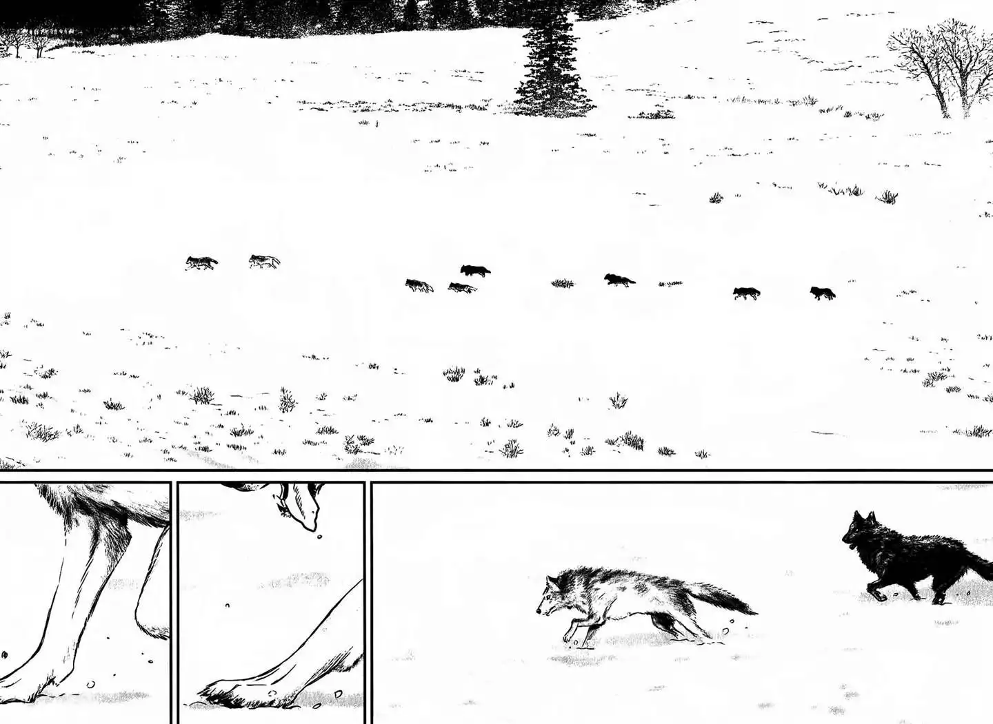 Wolf Guy: Ookami no Monshou - Chapter 115 [photo 17] - MangaPorn